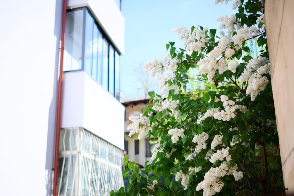 Central Old Town Oasis - Ap 6 Bucharest Exterior photo
